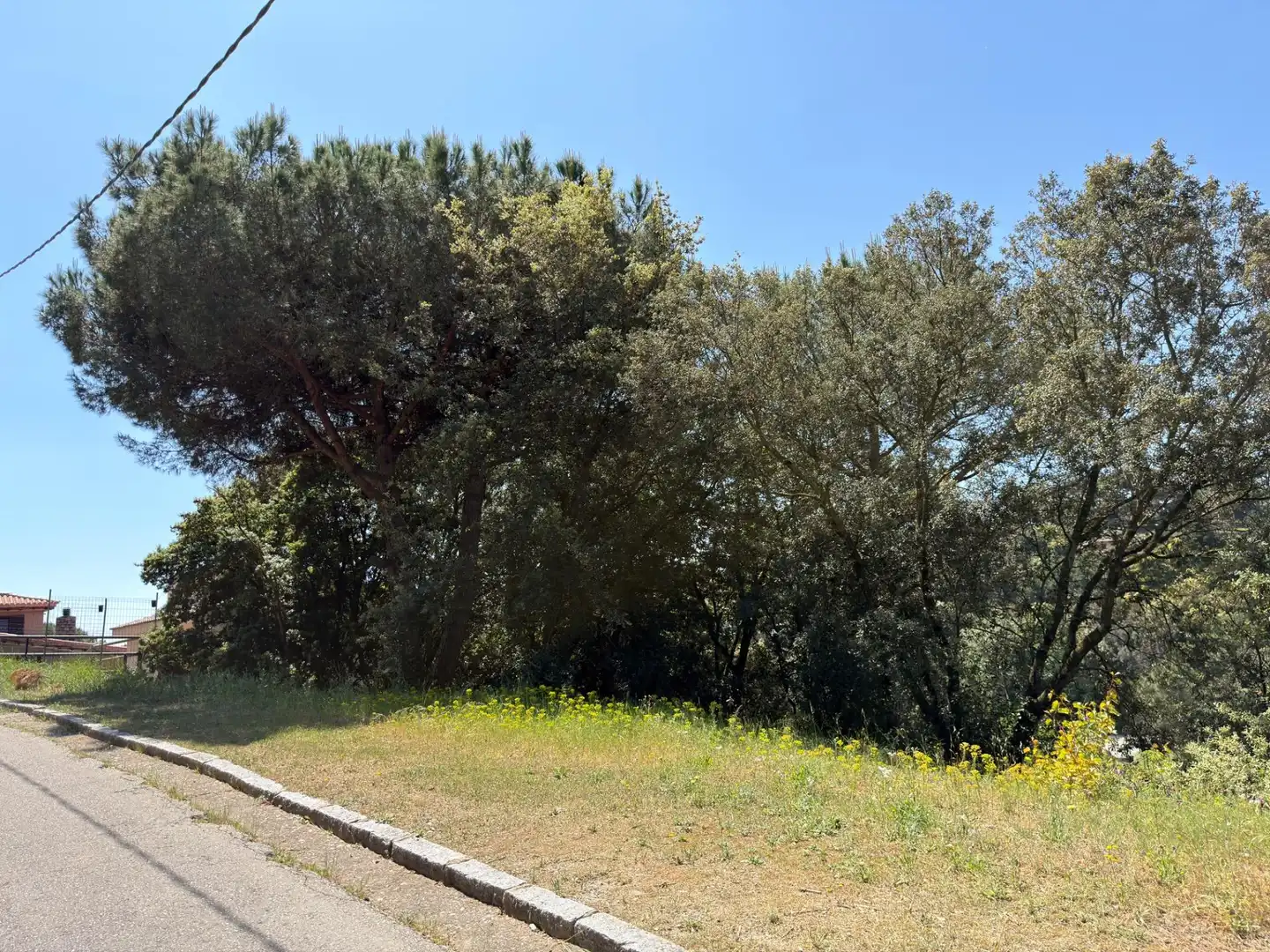 Lands and plots for sale in Calle d'Olzinelles 71, imagen 7