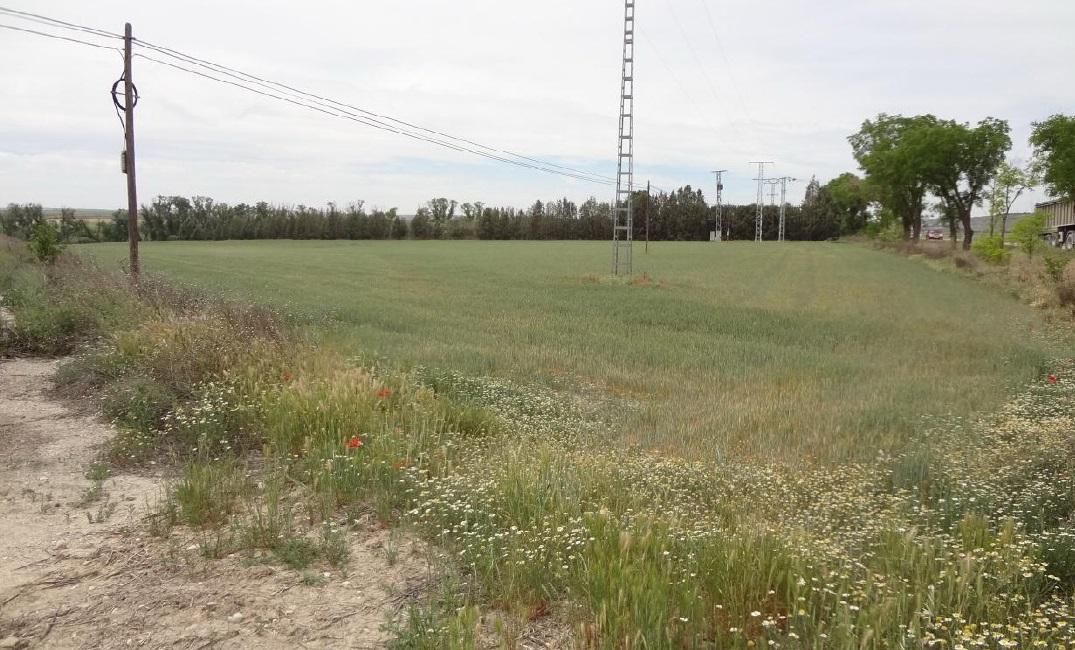 Land for sale in Estremera