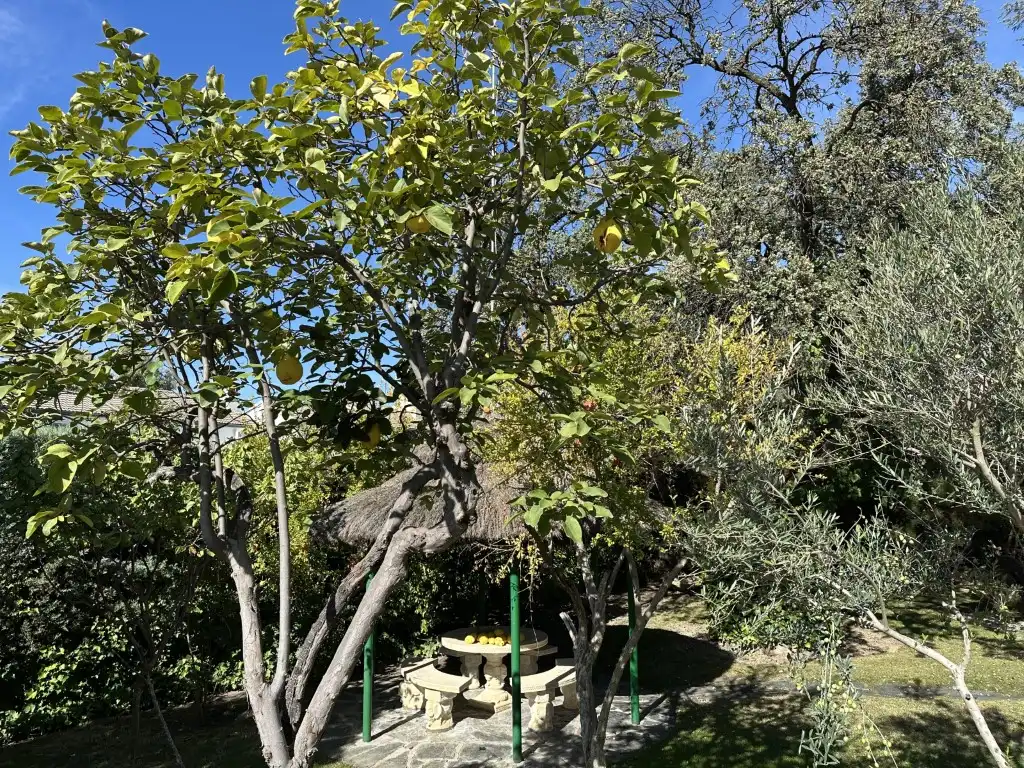 Jardín de Casa o chalet en venta en Algete