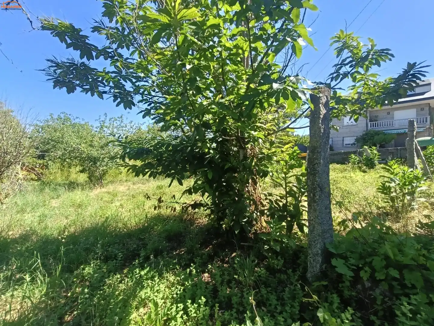 Casa o xalet en venda en Salvaterra de Miño amb Balcó
