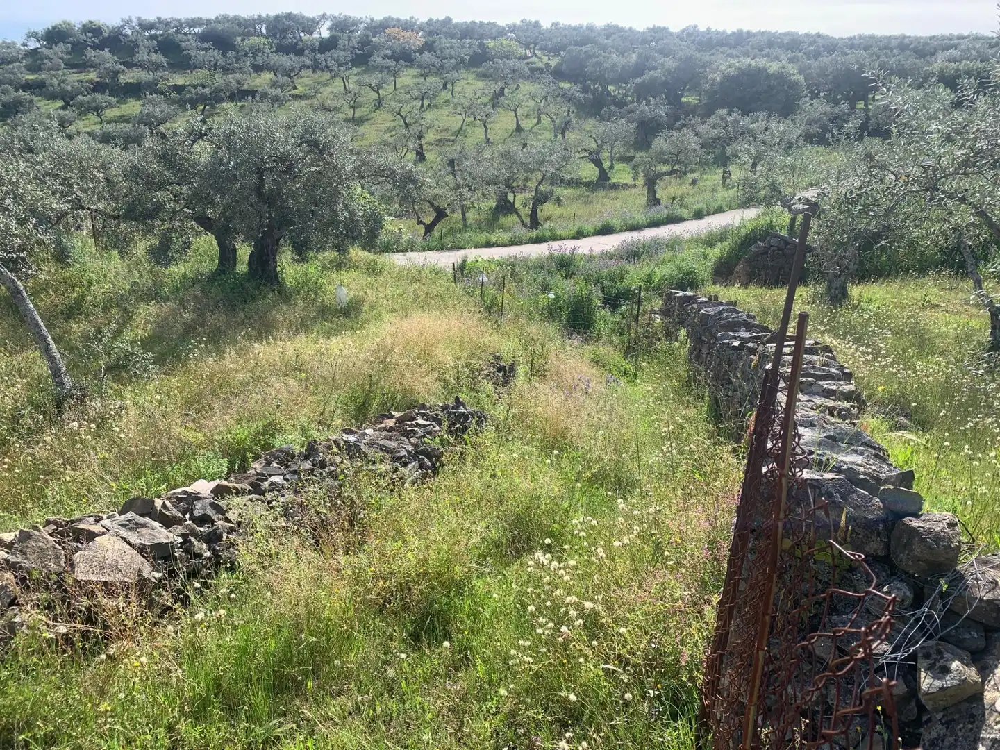 Terreni e lotti in vendita a LAS CARBONERAS, imagen 8
