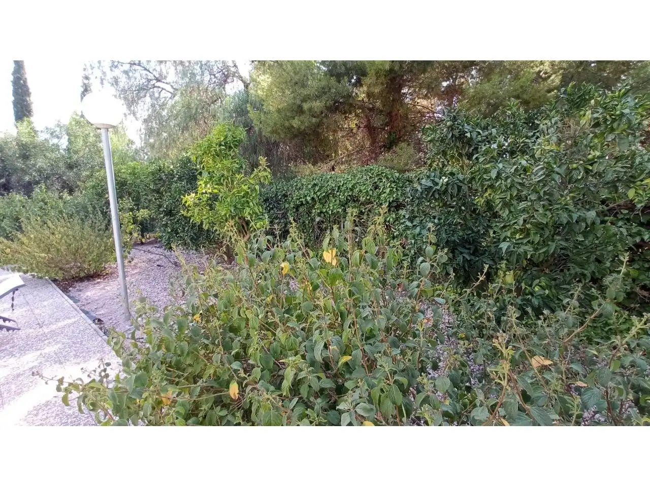 Casa o chalet en venta en Petrer con Terraza, Trastero y Piscina