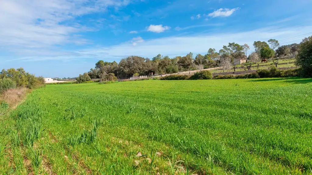 Rural land for sale in Muro, imagen 9