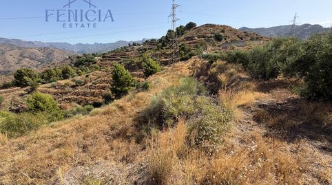 Parcela rústica de 19.000 m con gran depósito de agua, excelentes vistas y acceso asfaltado en Almuñécar