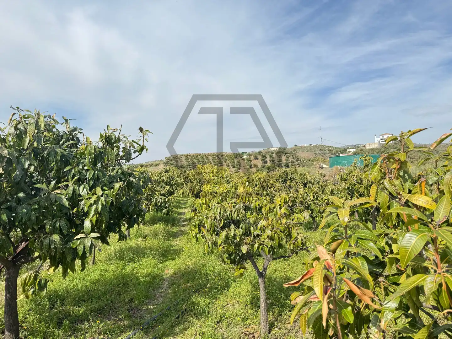 Rustikales Grundstück zum Verkauf in Atalaya Baja, imagen 29