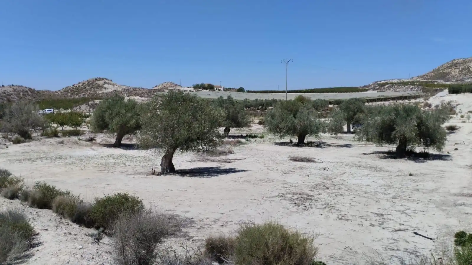 Grundstücke zum Verkauf in Molina de Segura