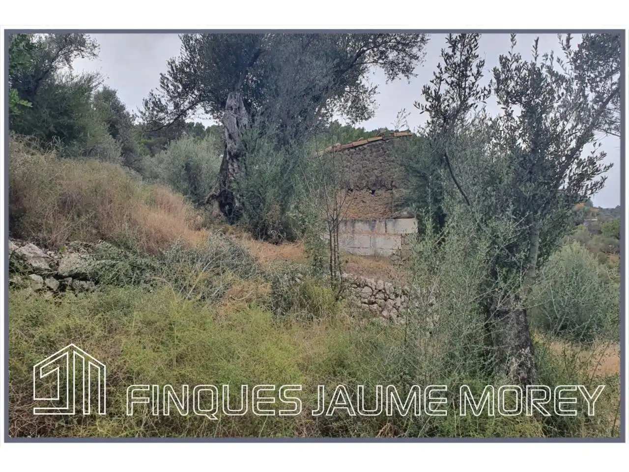 Finca rústica en venda en Selva amb Jardí privat