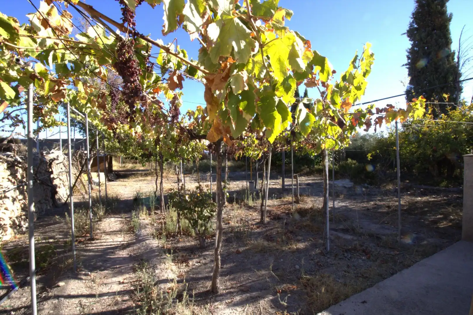 Garten von Country house zum Verkauf in Alhama de Almería mit Privatgarten, Terrasse und Schwimmbad