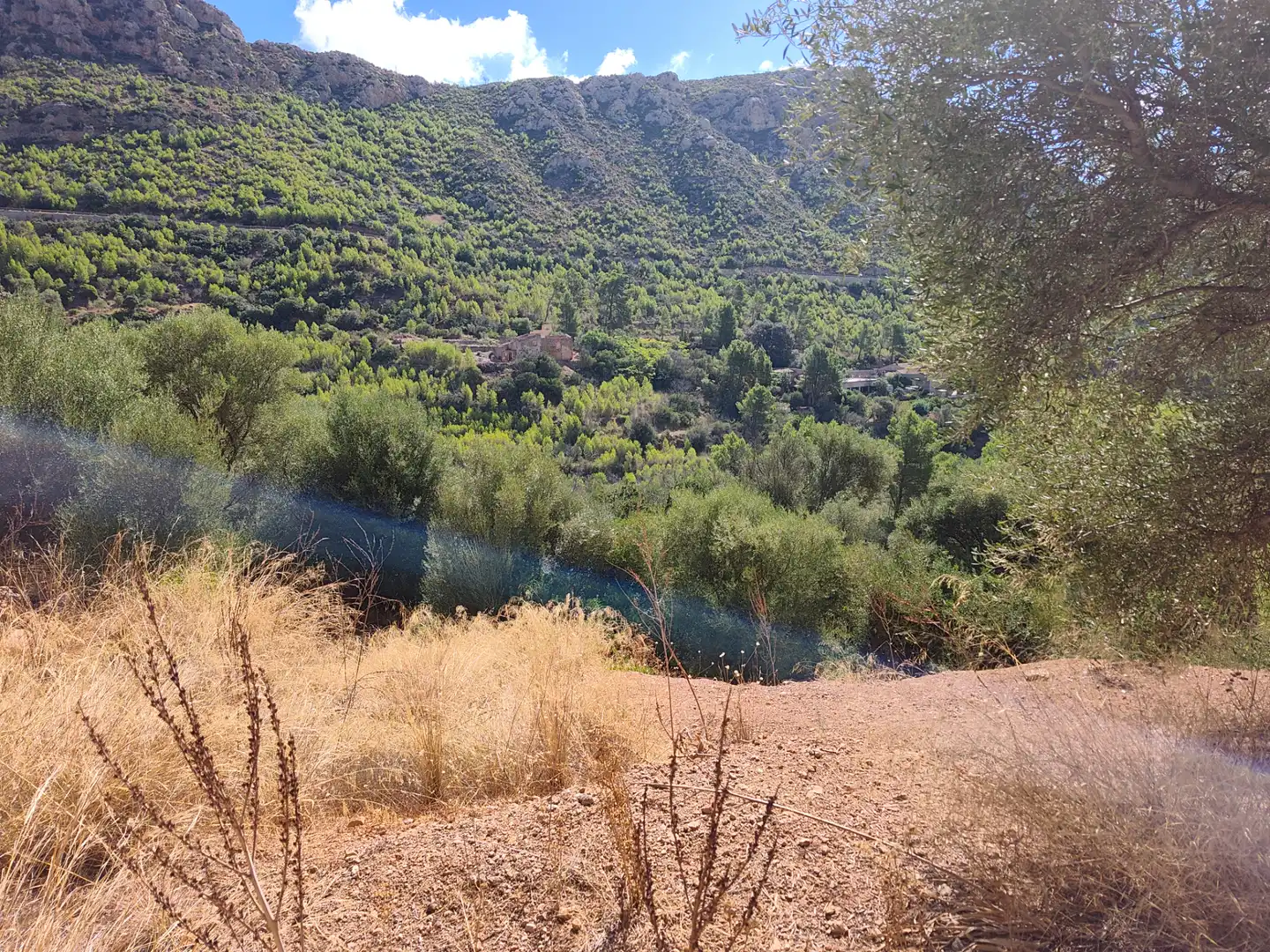 Terreny rústic en venda a Andratx pueblo, imagen 23