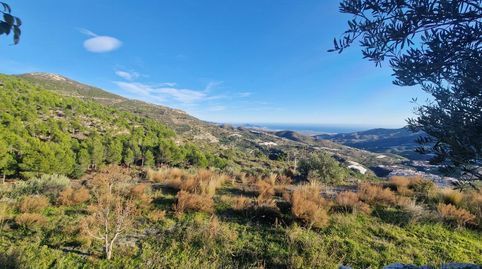 ItraboFinca Rustica, imatge 2