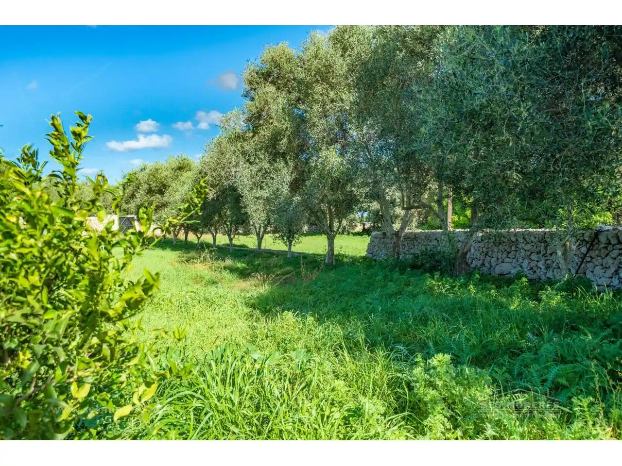 Maison rustique avec piscine à vendre à Son Vilar - Trepucó, imagen 10
