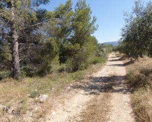 Finca rústica en venda en El Masroig