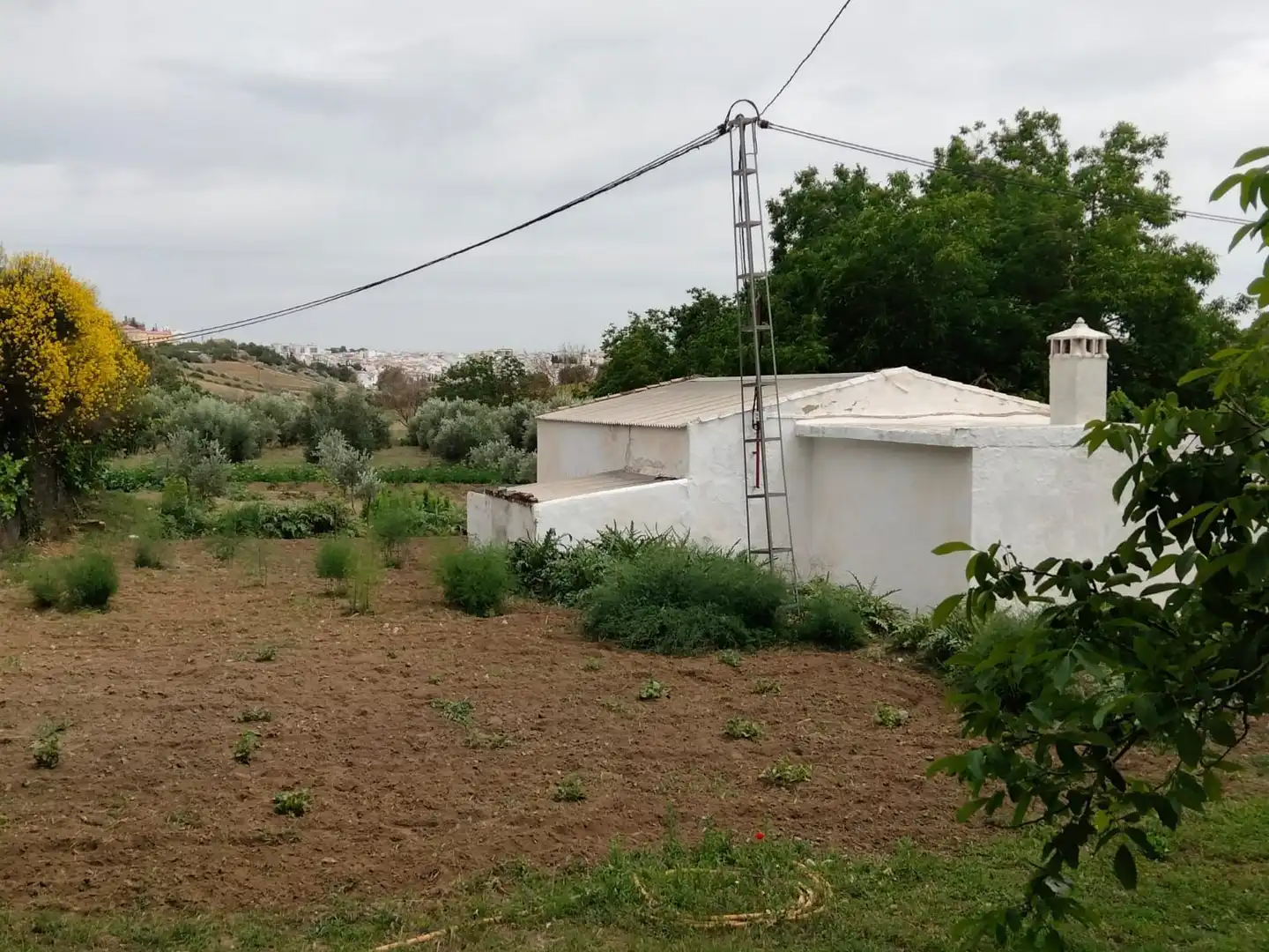 Casa rústica en venta en Partidas Sur, imagen 4
