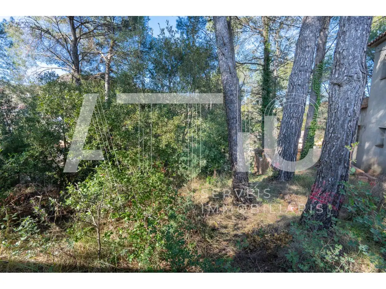 Residential land for sale in Calle Avet, imagen 12