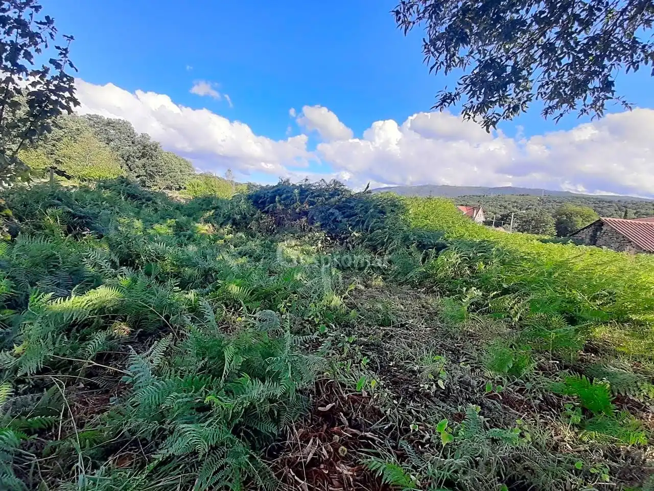 Country homes for sale in Castro Caldelas  with Private garden and Balcony