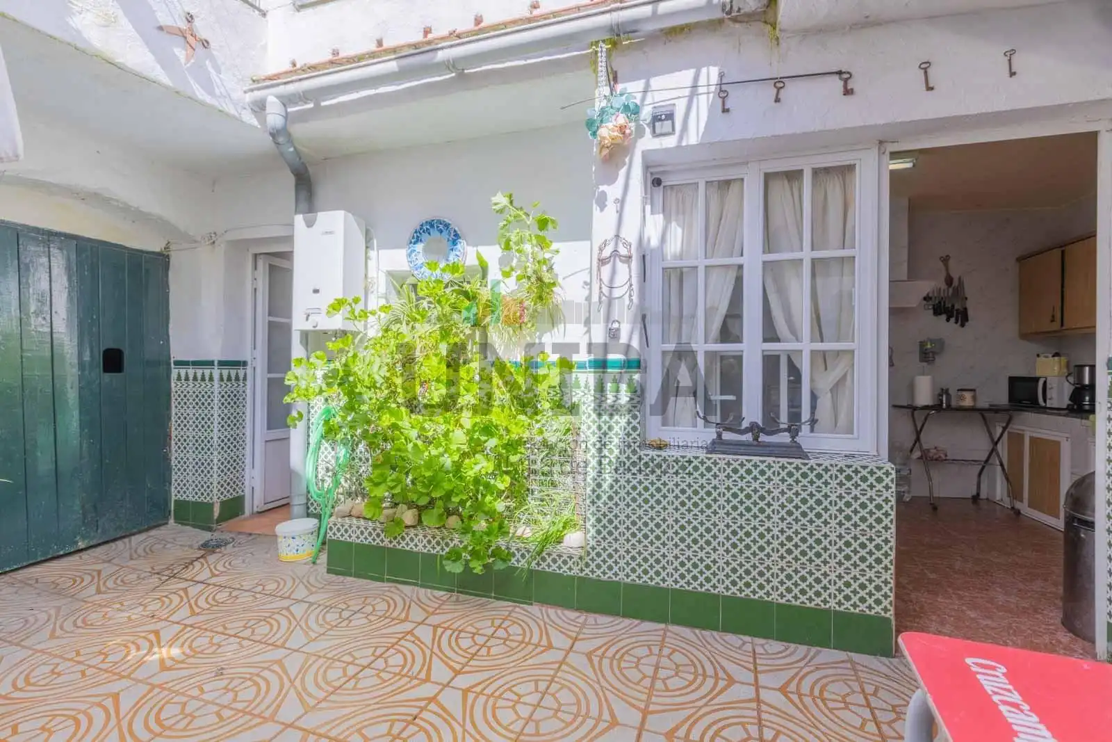 Jardín de Casa o chalet en venta en Segura de León con Trastero