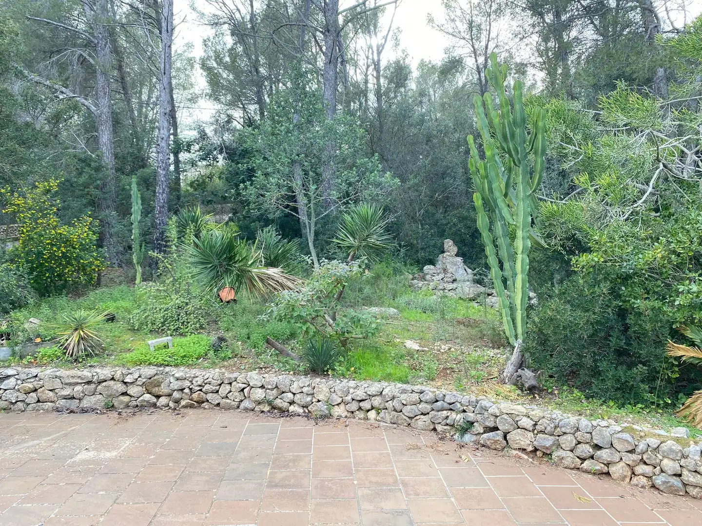 Casa con terraza en venta en Esporles, imagen 15