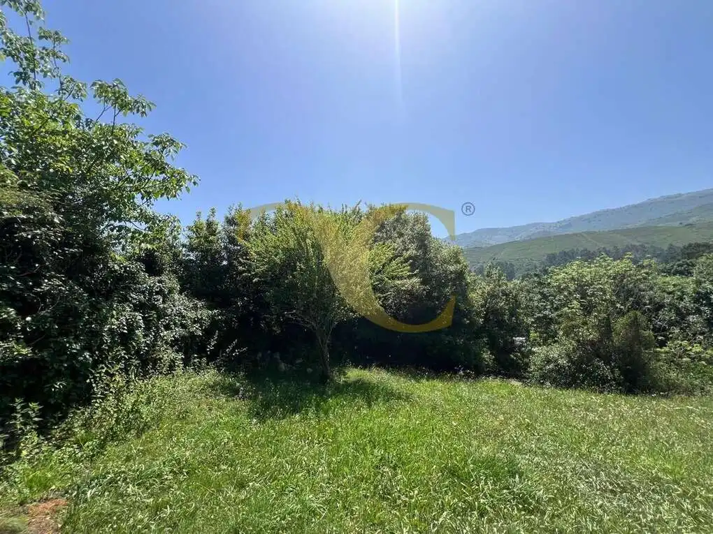 Casa con jardín en venta en San Roque del Acebal, imagen 14