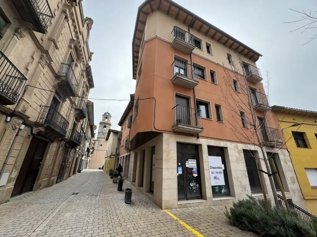 Exterior view of Commercial properties for sale in Sant Hipòlit de Voltregà
