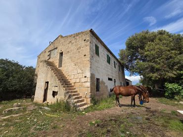 Casa rústica amb jardí en venda a Llevant