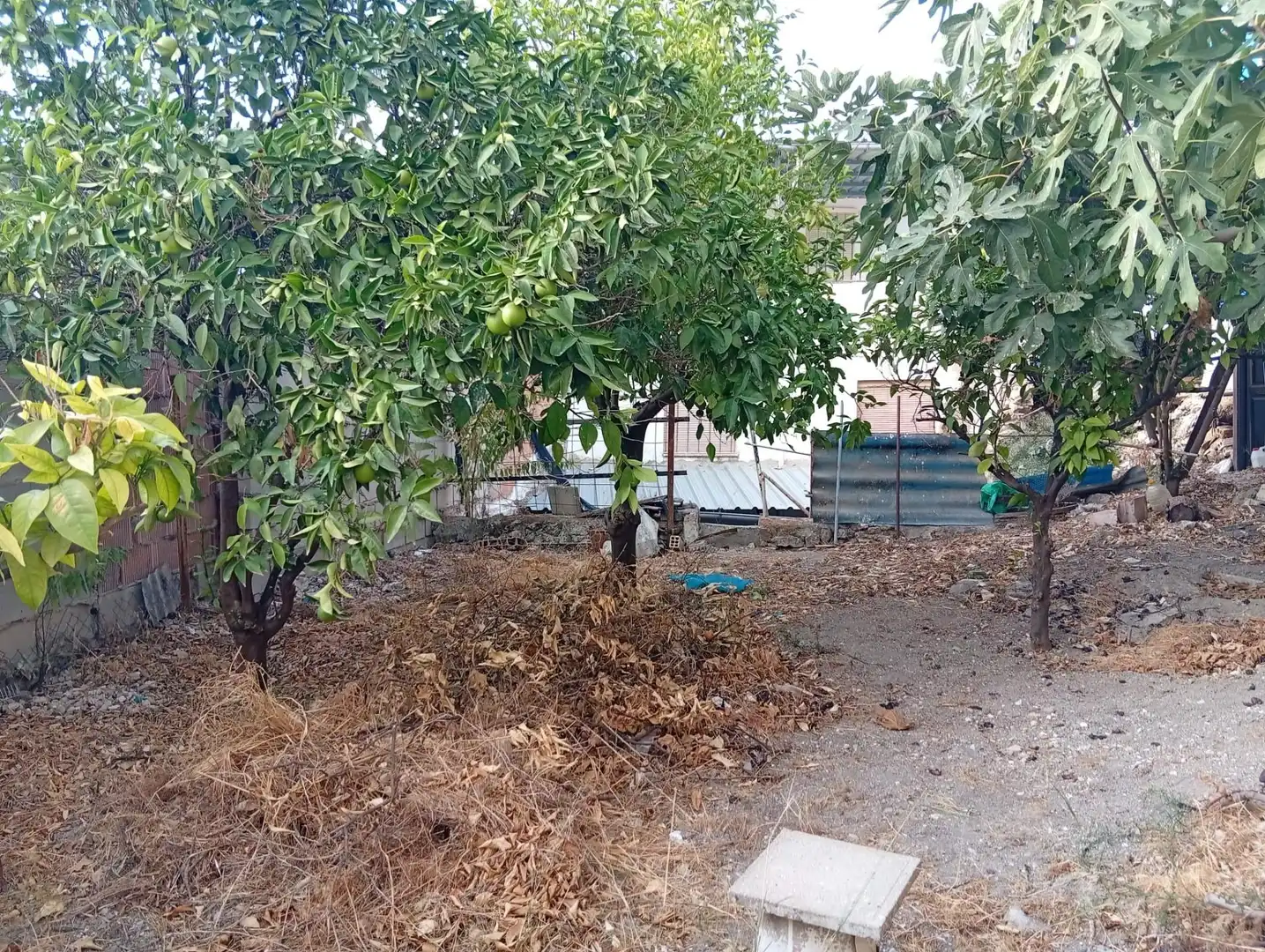 Casa in vendita a Cuevas de San Marcos, imagen 26