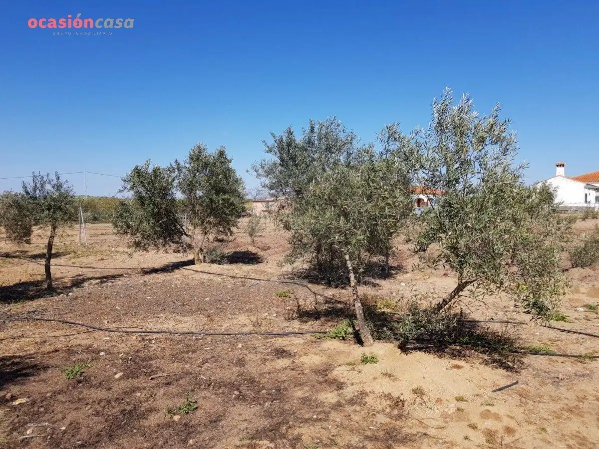 Villa con piscina in vendita a Añora, imagen 42