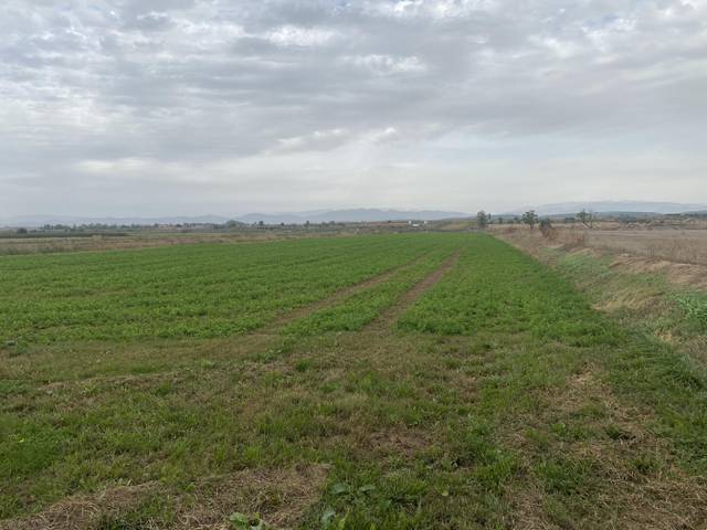 Terreno en Venta en Bellcaire d'Urgell