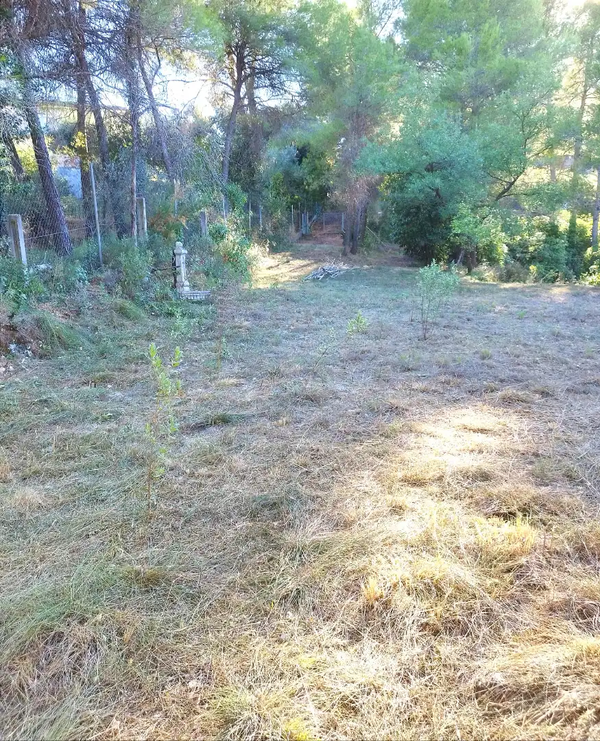 Terreny rústic de lloguer a Els Hostalets de Pierola, imagen 3