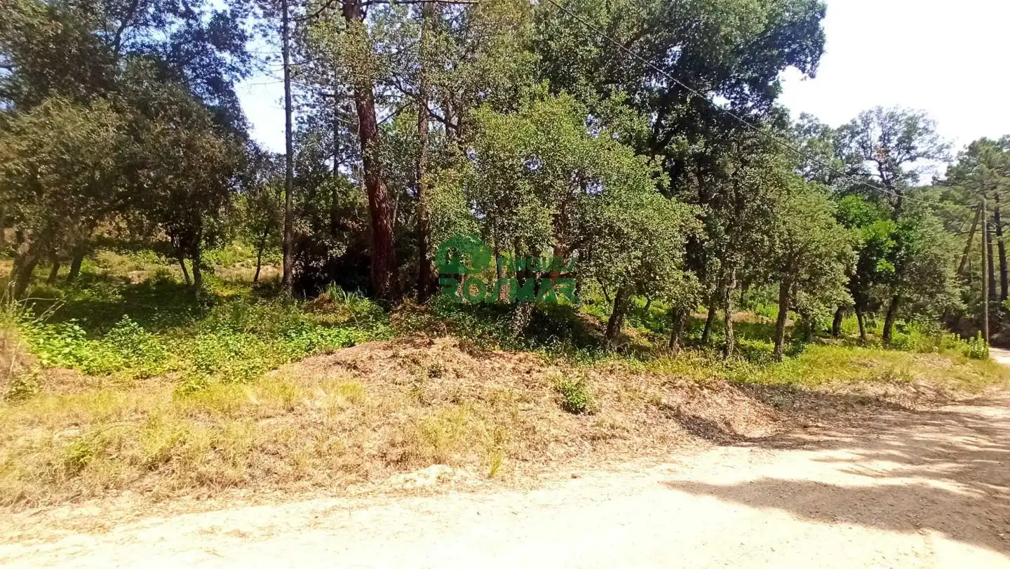 Terreny rústic en venda a Lloret Blau - La Creu de Lloret, imagen 5