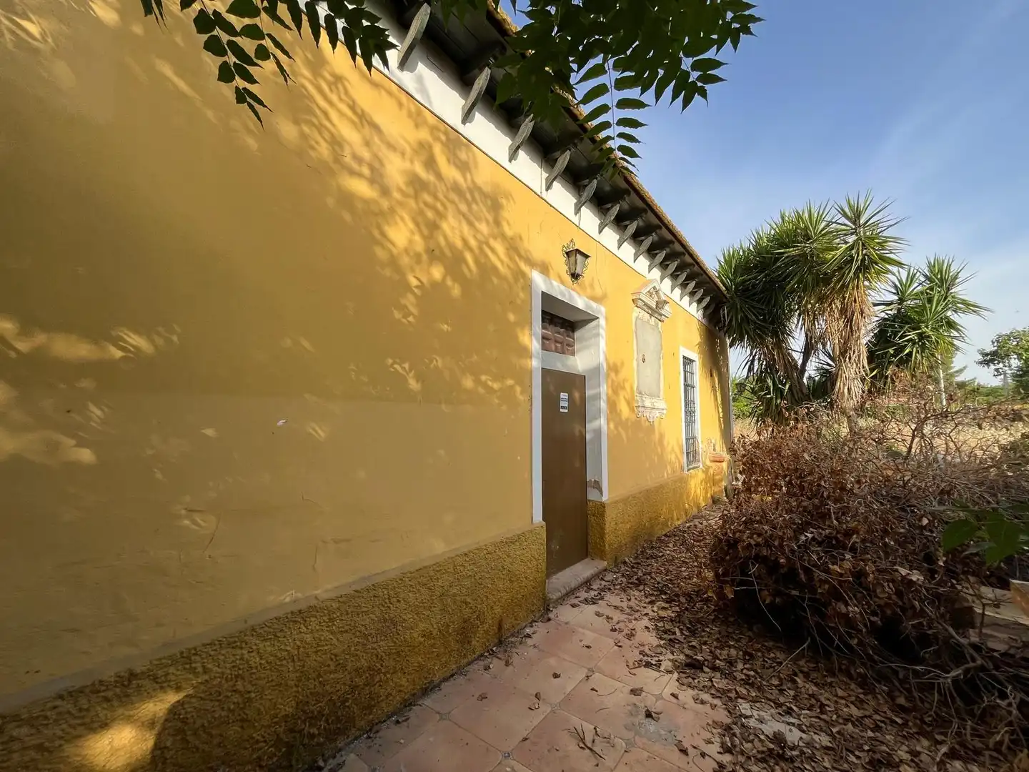 Vista exterior de Casa o chalet en venta en Dos Hermanas con Piscina