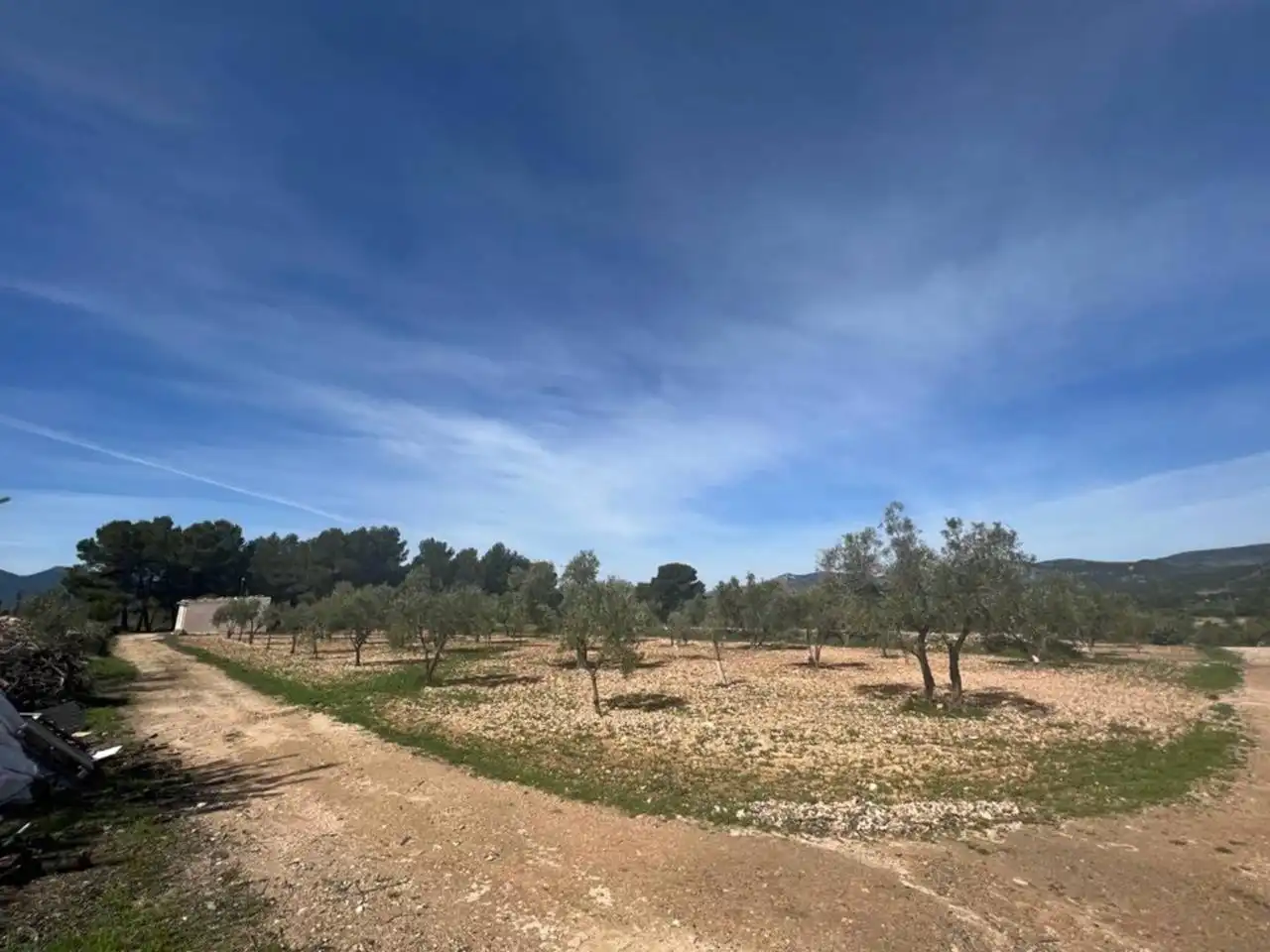Chalet con jardín en venta en Calle Poligono, imagen 107