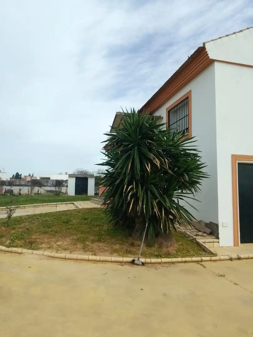 Jardín de Casa o chalet en venta en Dos Hermanas con Jardín privado, Terraza y Balcón