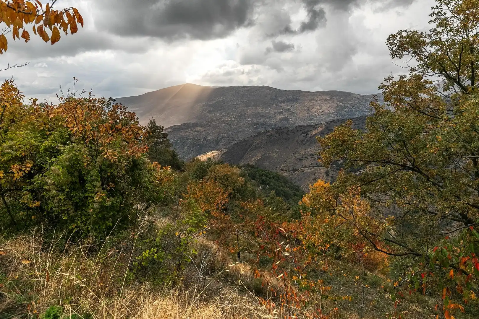 Lands and plots for sale in Güéjar Sierra, imagen 20