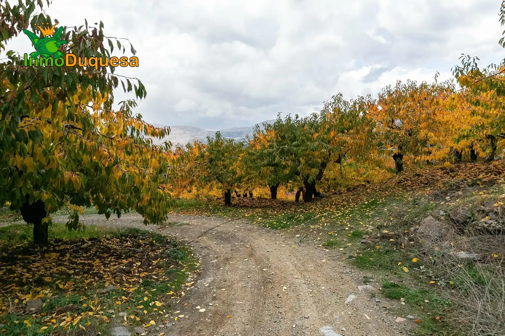 Casa rústica en venda a Güéjar Sierra, imagen 10