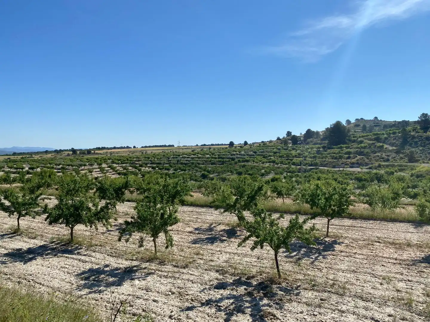 Villa à vendre à Moratalla, imagen 23