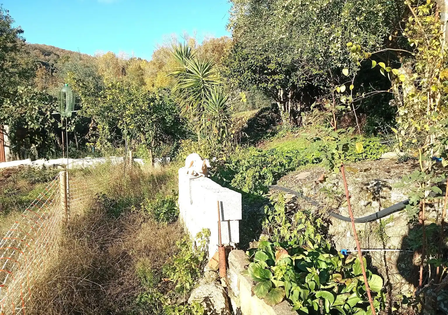 Terreni e lotti in vendita a Villanueva de la Vera, imagen 45