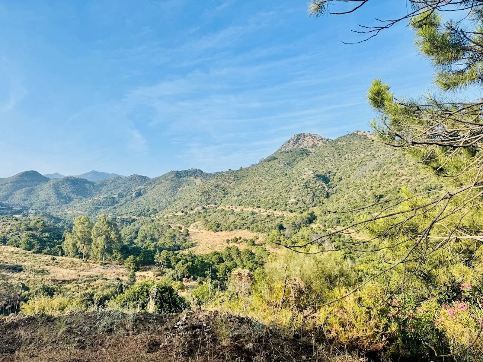 Residential for sale in Benahavís