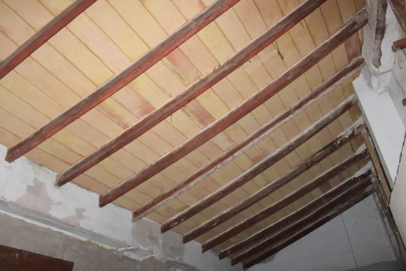 Maison à vendre à Oliva pueblo, imagen 17