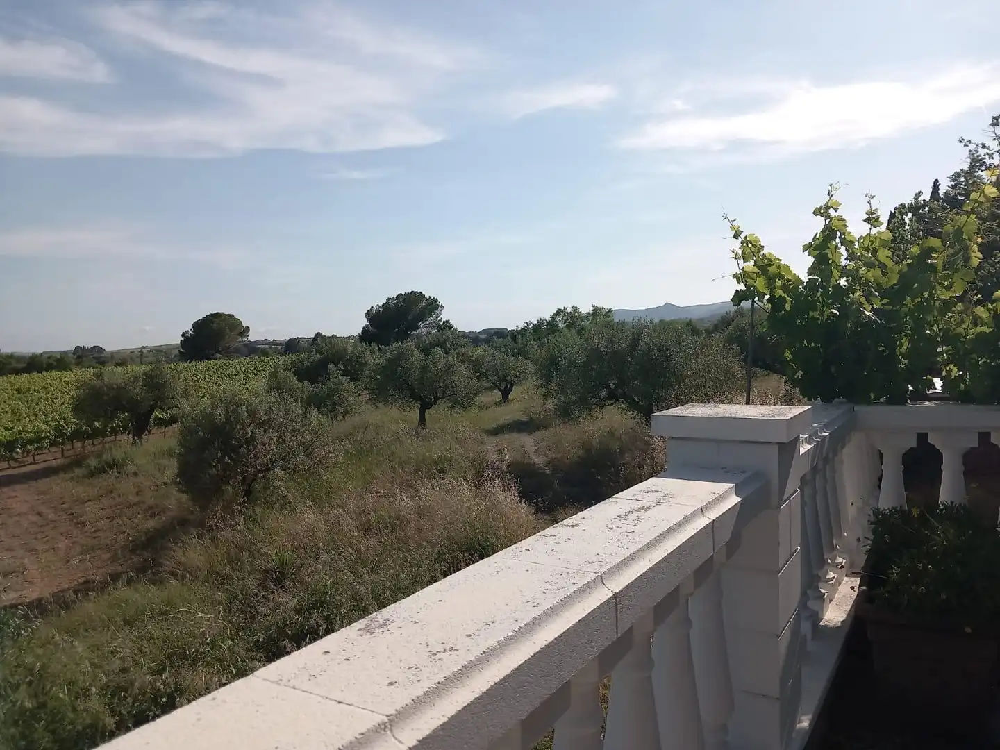 Haus mit Terrasse zur Miete in Pacs del Penedès, imagen 70