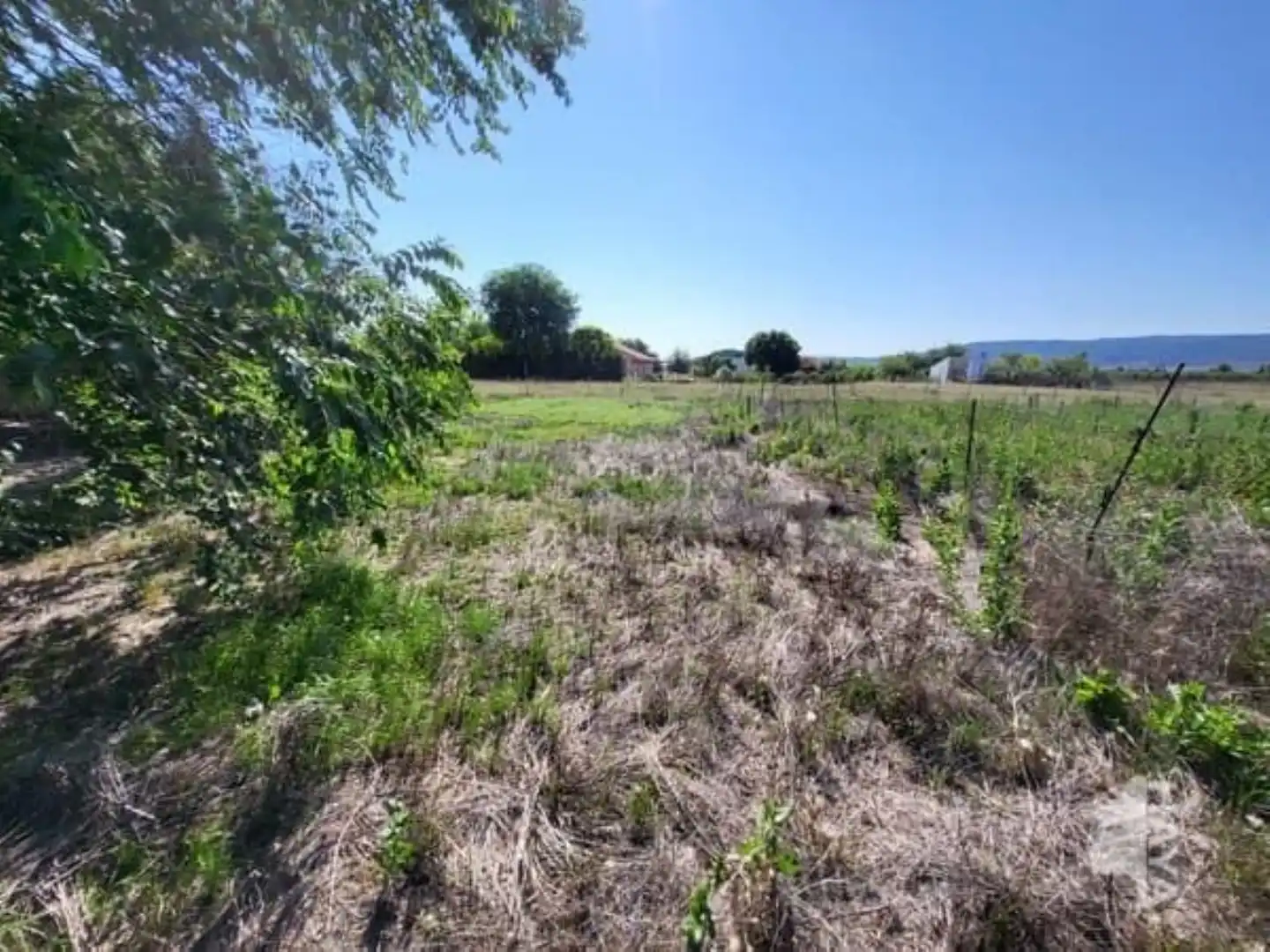 Casa o chalet en venta en Argamasilla de Calatrava con Jardín privado, Terraza y Trastero