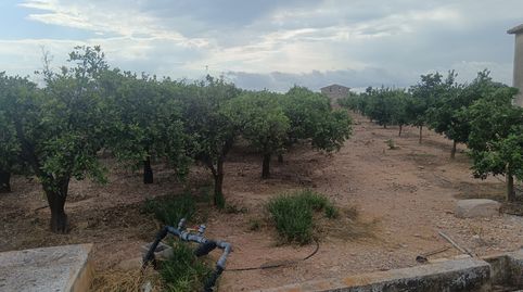 Foto 2 de Finca rústica en venda a Piscinas, Vila-real