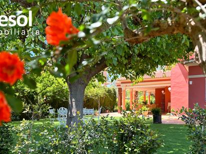 Jardí de Casa o xalet en venda en Alhaurín de la Torre amb Aire condicionat, Calefacció i Jardí privat