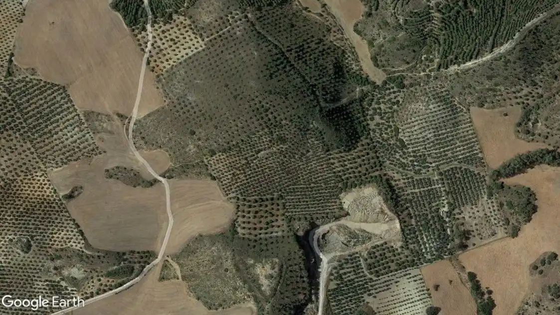 Rural land for sale in Morón de la Frontera, imagen 2