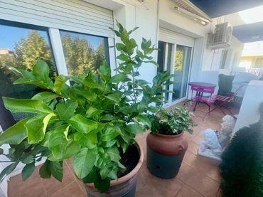 Apartament en venda a Calle san mori