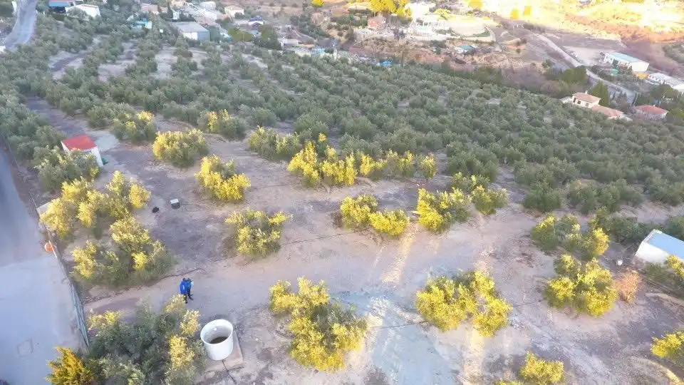 Terreni e lotti in vendita a La Guardia de Jaén, imagen 6
