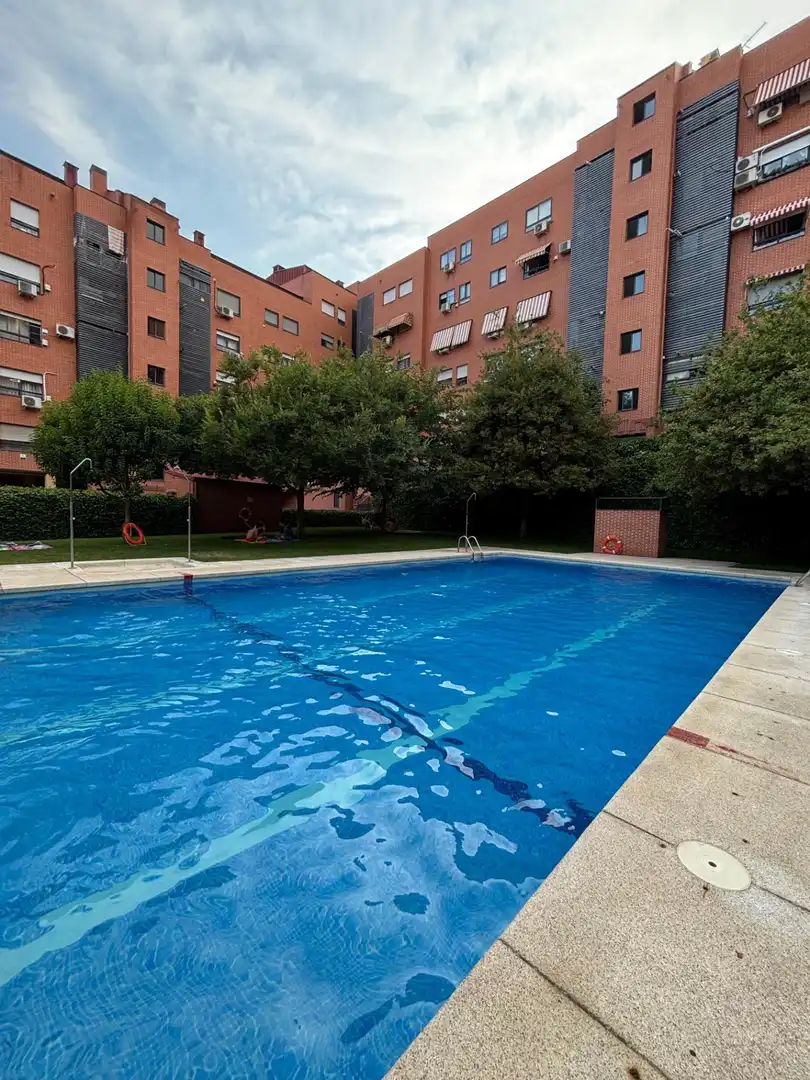 Piscina de Pis de lloguer en Móstoles amb Aire condicionat, Calefacció i Moblat