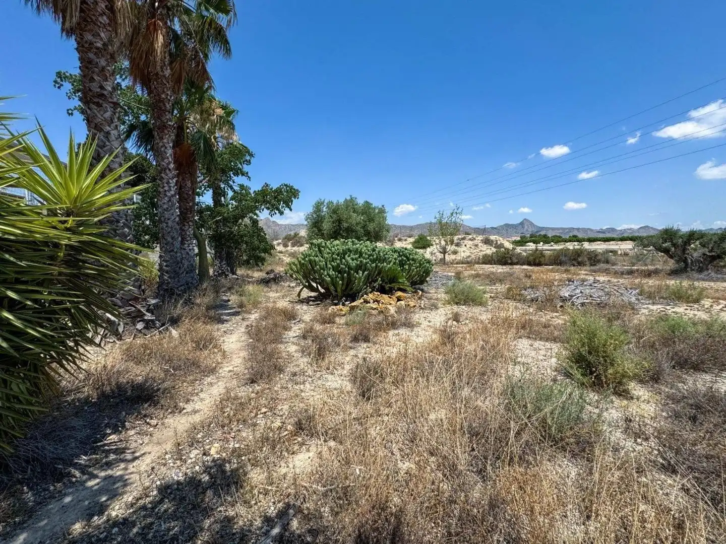Finca rústica en venta en La Murada - Los Vicentes