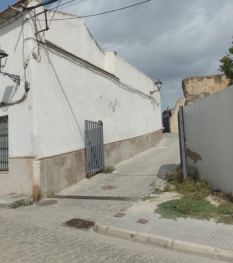 Foto 2 de Casa o xalet en venda a Écija, Sevilla