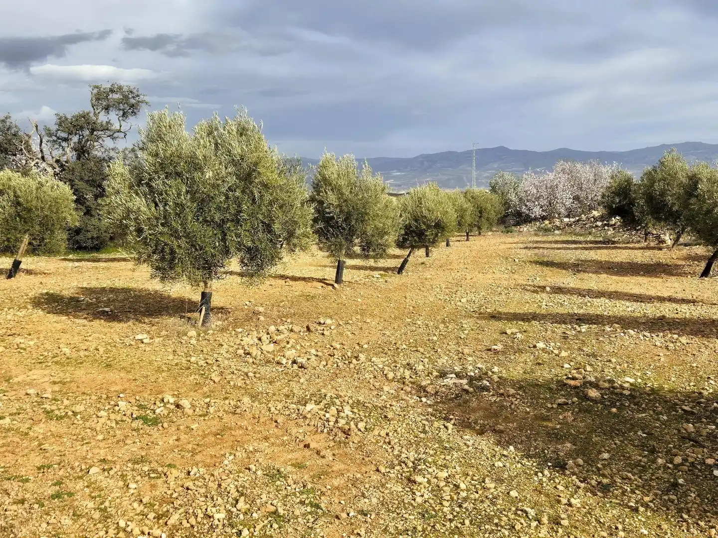 Terreno residencial en venta en Salar, imagen 19