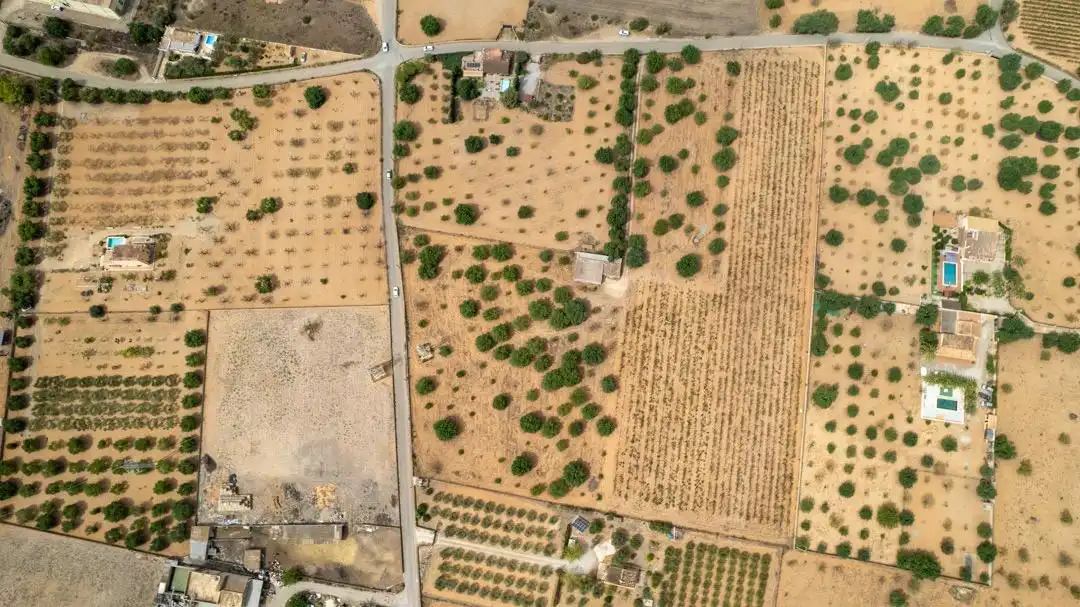 Land for sale in Consell